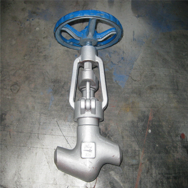 API 598 F304 Stainless Steel Body Forged Bolted Bonnet Class 2500 Socket Weld 